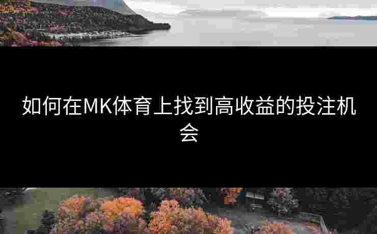 如何在MK体育上找到高收益的投注机会
